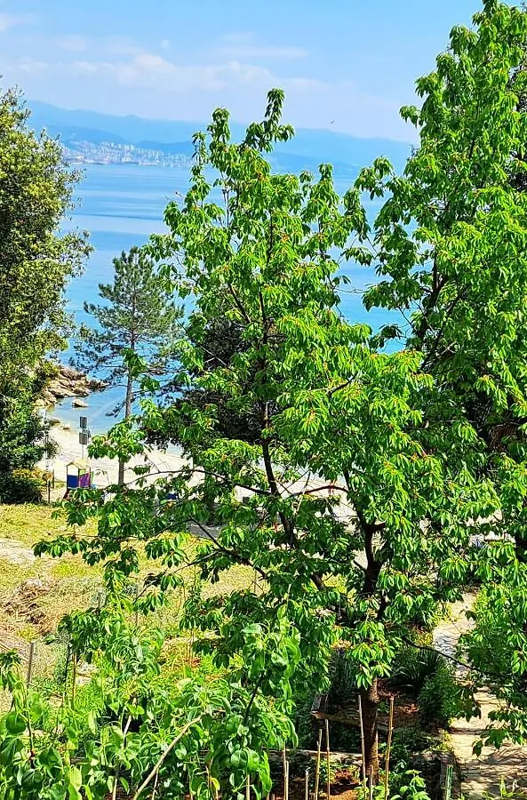 Room Soba U Opatiji Na Lipovici Opatija Croacia